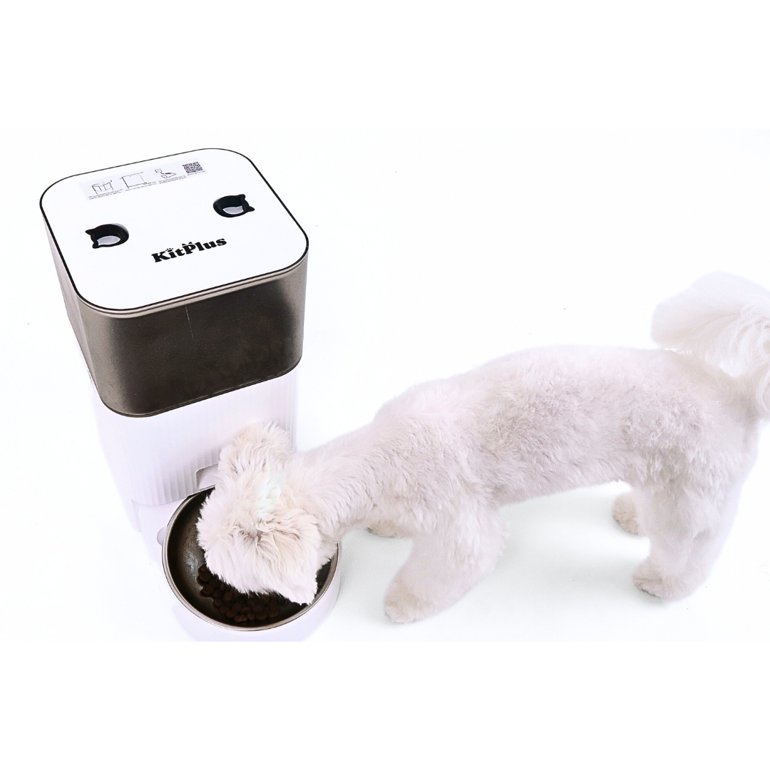 KITPLUS Smart Feed Automatic Pet Feeder