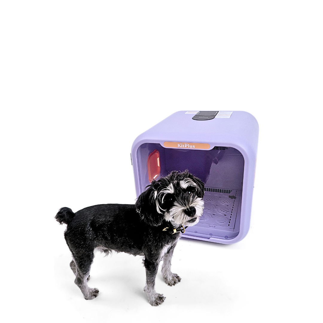 KITPLUS Pets Dryer Box