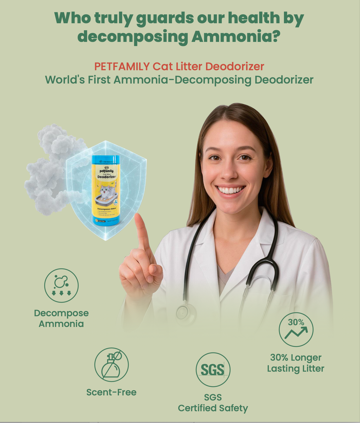 Cat litter Deodorizer